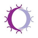 Repertoire Immune Medicines Logo